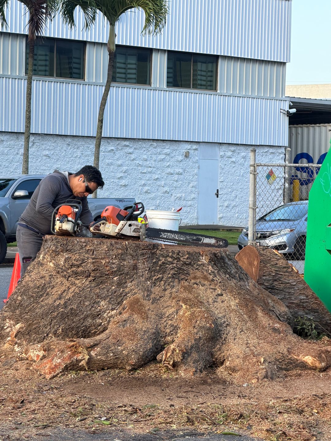 Crew member beside a large stump and tools